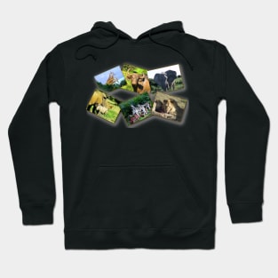 African Wildlife Photo Collage Hoodie